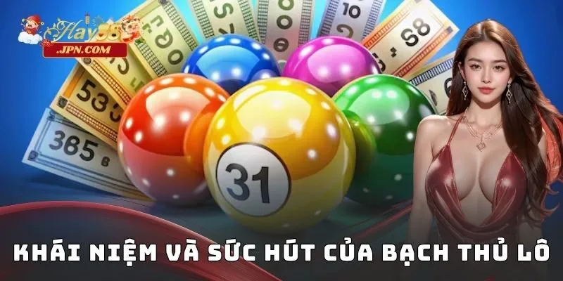 Khái niệm và sức hút của bạch thủ lô